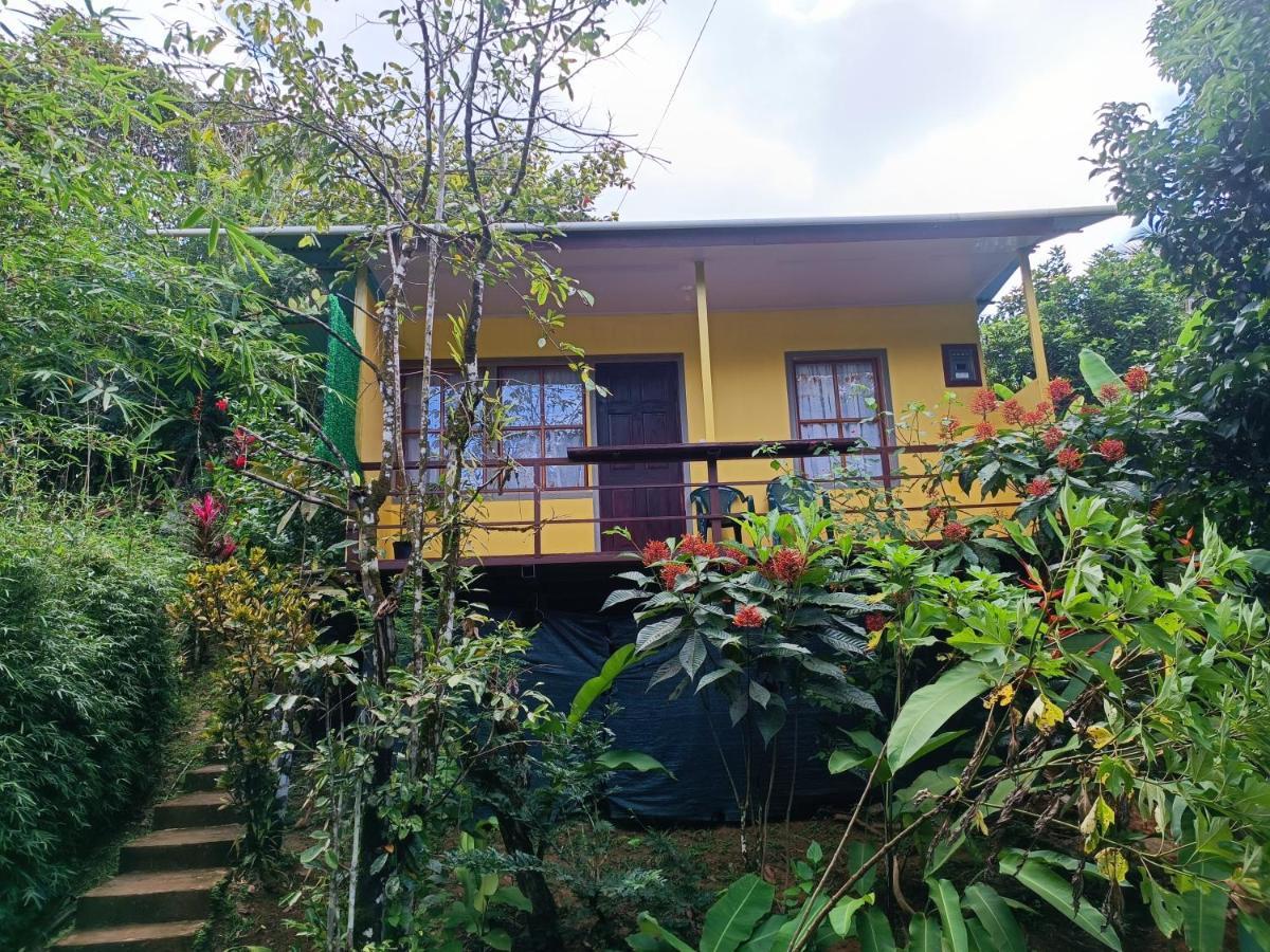 Cabanas Tico Gringo Drake Bay Exterior foto
