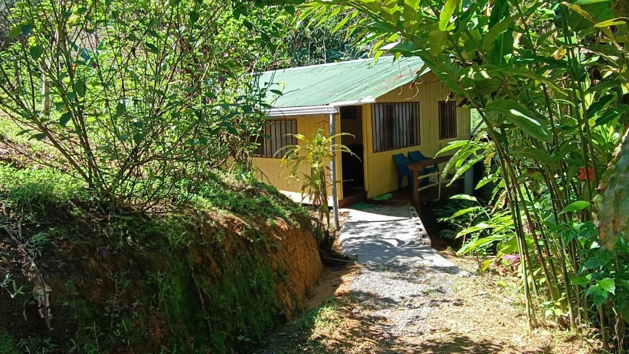 Cabanas Tico Gringo Drake Bay Exterior foto